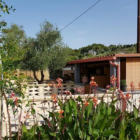Monolocale Con Tetto In Legno